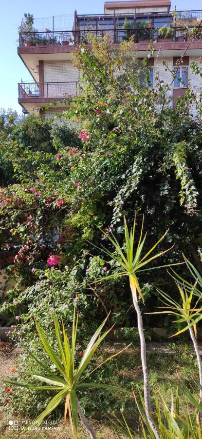 Il Giardino Di Anna - Charming Rooms In Κάλιαρι Εξωτερικό φωτογραφία